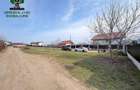Teren intravilan 680 mp, plat, cu utilitati, Horpaz