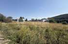 Teren intravilan de vânzare | Sucevița | Front 53 m - 2