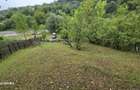 Teren vanzare Valea Doftanei - 1