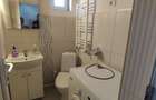 Casa primitoare perfecta pentru o familie sau sediu de firma Viile Noi