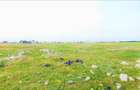 Ocazie ! Eforie Nord 3 Loturi 517 Mp. 19.500 Euro Ideal Investitie ! - 4