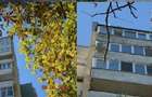 Apartament 2 camere, cota parte 1/2 Sfantu Gheorghe, ID: R3207609 - 4