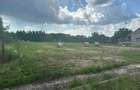 Casa solida + 4500 mp Teren INTRAVILAN, 45m Front stradal - 7