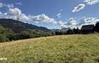 Teren intravilan 5620mp, acces public, panorama - 7
