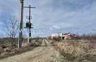 Teren cu gaz si electrica-hotar, 28000 E, padure - 5