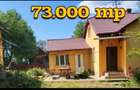CASA cu TEREN 7.3 HECTARE Zvorastea Suceava - 2