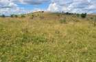 Teren extravilan 2500m2. Panorama superba.-Salicea - 2