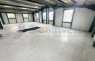 Hala noua de vanzare, Parc Industrial Bors, Bihor, Gaminvest, V4126 - 3