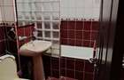 Apartament de inchiriat 2 camere Nufarul - 14
