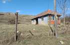 Casa individuala l Teren 2698 MP l Hagau - 6