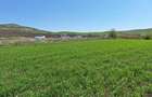 Teren de vanzare, 52600 mp, oportunitate de investi?ie - 5