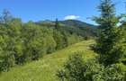 Teren intravilan 30 de ari dj 176 POTENTIAL Turistic/ Casa 1399/ar, usor negociabil - 7