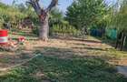 Casă cu 4 camere cu Teren 10000 Mp în Bârca - 2