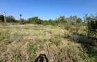 Teren intravilan de vanzare, 2.000 mp, deschidere 30 m - 3