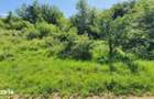 Teren extravilan 3200mp zona Sacel - 1