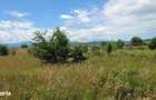 Teren extravilan 1800 mp Avrig - 11