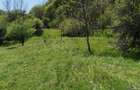 Teren de vis la munte 7.795 mp construibil parau, padure - 1