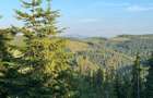 50 hectare teren | Moldova-Sulita | Potential turistic si agricol