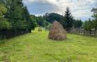 Proprietar vand teren intravilan in Valea Doftanei - 2