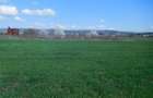 Teren Construcții intravilan de 868 mp, în Sopor
