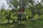 Casă cu teren generos de 2.800 mp la 38 km în satul Elciu - 15
