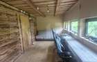 Cabana cu parau si brazi maturi, 1400mp, Valea Fericirii - 7