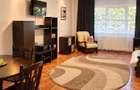 Apartament cu 2 camere de inchiriat Cartierul Brancusi - 6