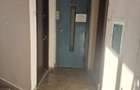 3Camere Ion Mihalache - 6