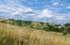 Teren intravilan ideal pentru casa, 4300mp, Deusu -Chinteni - 7