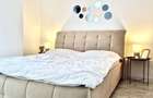 Vanzare Apartament 2 Camere cu Cf | Su 43 mp | zona Corneliu Copoosu - 4