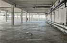 Spatiu Industrial - 3000 mp - Productie - Depozitare - Distributie - 30