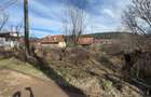 Teren intravilan I 1000 MP I Nadaselu - 4