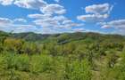 Teren de 70000 mp, în Șerani - 5