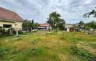 Casa si teren de vanzare 948mp Campia Islaz, Oportunitate de invest - 9