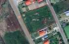 Teren de vanzare 3000 m2 30 euro/m2 Salingy 44.2806487, 28.0841185 - 1