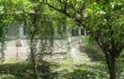 Teren cu casa batraneasca Izvorul Muntelui - Bicaz - 5