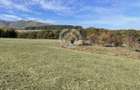 Teren Extravilan | Rasinari Poplaca | Cadru Natural Unic - 4