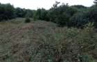 Proprietar-Vand doua terenuri, unul de 7.100 mp, celalalt de 25.000 m2 - 8