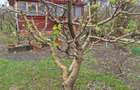 Casa P+M, direct proprietar, teren 2093 mp - 4