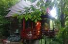 Cabana lemn 3 camere, teren 1.700 mp, Bughea de Jos Arges - 3