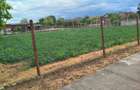 Teren Construcții intravilan de 900 mp, în Biled - 2