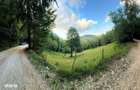 Teren investitie 8635 mp extravilan , Pestera Brasov - 6