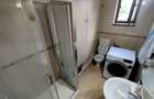 Apartament 3 camere, 53 mp, 500 euro - Nicolina - 10