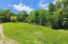 Teren 3.800 mp - Slatina, Nucsoara