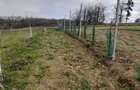 Coliba plus 2 hectare de pamant - 3