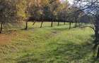 Teren intravilan 10200 mp cu utilitati in Costesti, Valcea - 6