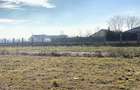 Afumati - Str. Iasomiei, 2409 MP, stradal, intravilan, deschidere 12 m
