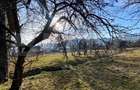 Casa de vanzare in Bistrita-Bargaului cu 30 arii teren - 9
