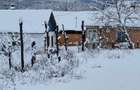Vand casa cu anexe si teren 7,35 ha - 1