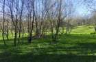 Teren intravilan com.Drajna, sat Catunu, 12 km de Valenii de Munte, jud. Prahova - 6
